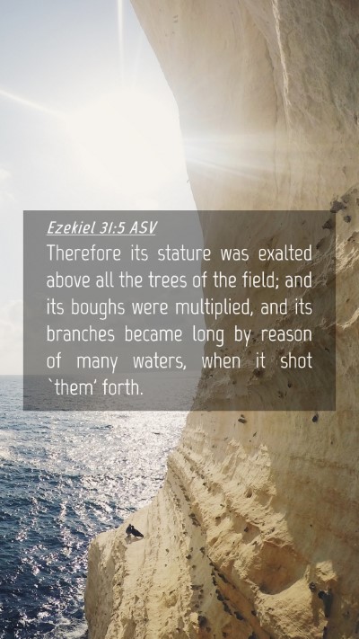 Picture 04 - Ezekiel 31:5 ASV Mobile Phone Wallpaper - Therefore its stature was exalted above all the - Mobile Bible Verse Wallpaper