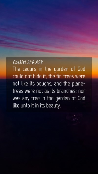 Picture 04 - Ezekiel 31:8 ASV Mobile Phone Wallpaper - The cedars in the garden of God could not hide - Mobile Bible Verse Wallpaper