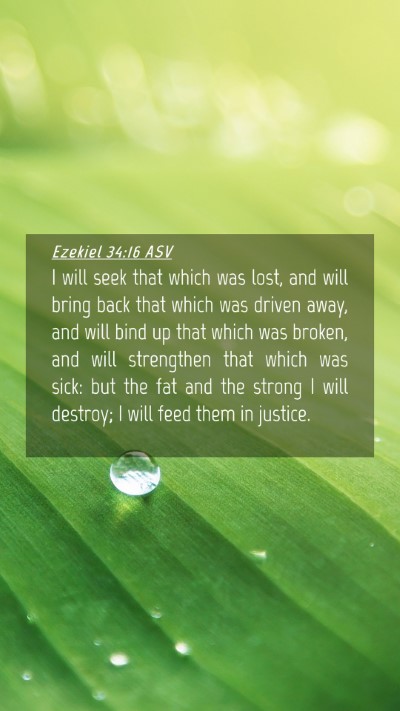 Picture 04 - Ezekiel 34:16 ASV Mobile Phone Wallpaper - I will seek that which was lost, and will bring - Mobile Bible Verse Wallpaper