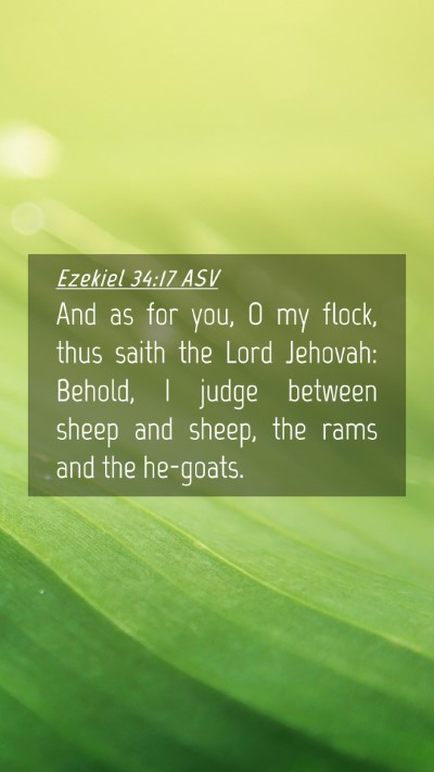 Picture 04 - Ezekiel 34:17 ASV Mobile Phone Wallpaper - And as for you, O my flock, thus saith the Lord - Mobile Bible Verse Wallpaper