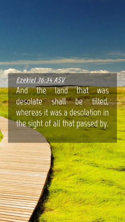 Picture 04 - Ezekiel 36:34 ASV Mobile Phone Wallpaper - And the land that was desolate shall be tilled, - Mobile Bible Verse Wallpaper