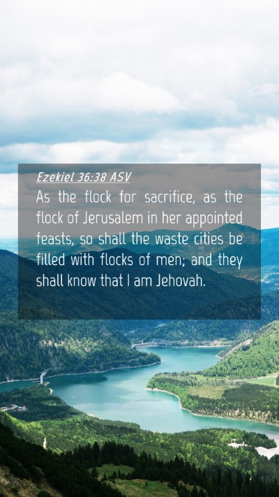 Picture 04 - Ezekiel 36:38 ASV Mobile Phone Wallpaper - As the flock for sacrifice, as the flock of - Mobile Bible Verse Wallpaper
