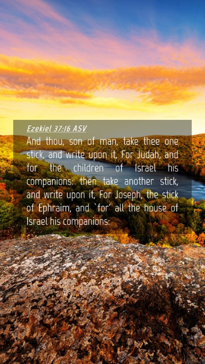 Picture 04 - Ezekiel 37:16 ASV Mobile Phone Wallpaper - And thou, son of man, take thee one stick, and - Mobile Bible Verse Wallpaper