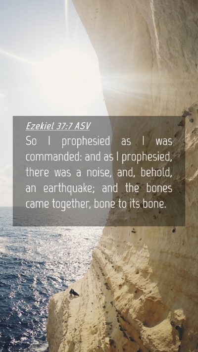 Picture 04 - Ezekiel 37:7 ASV Mobile Phone Wallpaper - So I prophesied as I was commanded: and as I - Mobile Bible Verse Wallpaper