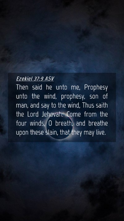 Picture 04 - Ezekiel 37:9 ASV Mobile Phone Wallpaper - Then said he unto me, Prophesy unto the wind, - Mobile Bible Verse Wallpaper