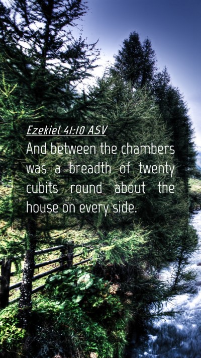 Picture 04 - Ezekiel 41:10 ASV Mobile Phone Wallpaper - And between the chambers was a breadth of twenty - Mobile Bible Verse Wallpaper