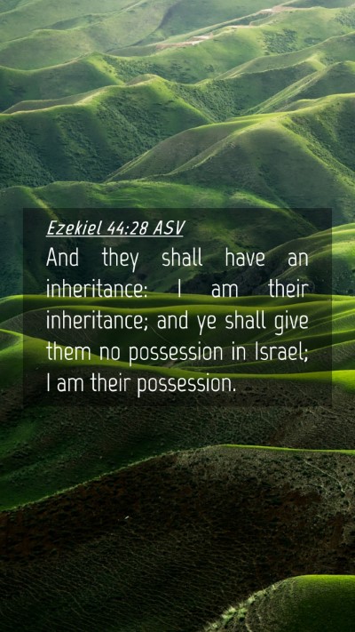 Picture 04 - Ezekiel 44:28 ASV Mobile Phone Wallpaper - And they shall have an inheritance: I am their - Mobile Bible Verse Wallpaper