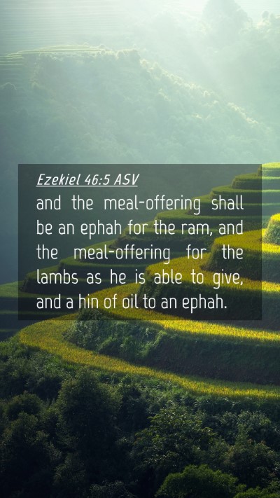 Picture 04 - Ezekiel 46:5 ASV Mobile Phone Wallpaper - and the meal-offering shall be an ephah for the - Mobile Bible Verse Wallpaper