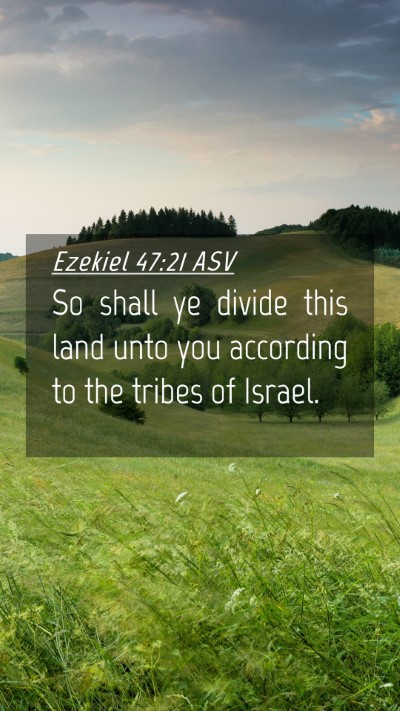 Picture 04 - Ezekiel 47:21 ASV Mobile Phone Wallpaper - So shall ye divide this land unto you according - Mobile Bible Verse Wallpaper