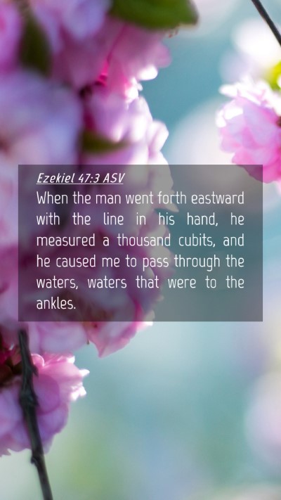 Picture 04 - Ezekiel 47:3 ASV Mobile Phone Wallpaper - When the man went forth eastward with the line in - Mobile Bible Verse Wallpaper