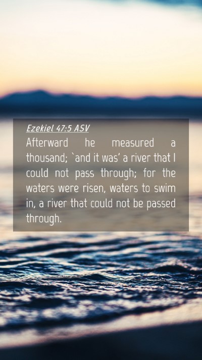 Picture 04 - Ezekiel 47:5 ASV Mobile Phone Wallpaper - Afterward he measured a thousand; `and it was' a - Mobile Bible Verse Wallpaper
