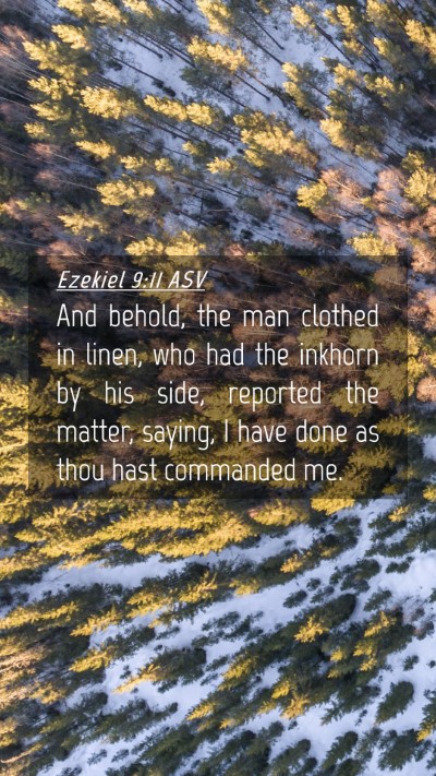 Picture 04 - Ezekiel 9:11 ASV Mobile Phone Wallpaper - And behold, the man clothed in linen, who had the - Mobile Bible Verse Wallpaper