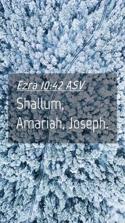 Picture 04 - Ezra 10:42 ASV Mobile Phone Wallpaper - Shallum, Amariah, - Mobile Bible Verse Wallpaper