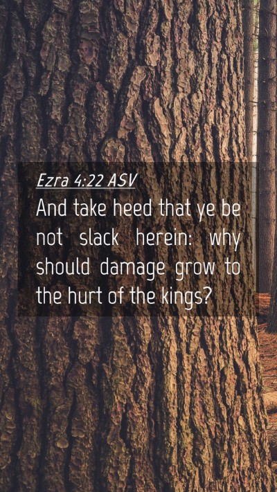 Picture 04 - Ezra 4:22 ASV Mobile Phone Wallpaper - And take heed that ye be not slack herein: why - Mobile Bible Verse Wallpaper