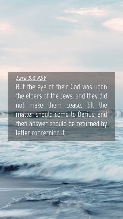 Picture 04 - Ezra 5:5 ASV Mobile Phone Wallpaper - But the eye of their God was upon the elders of - Mobile Bible Verse Wallpaper