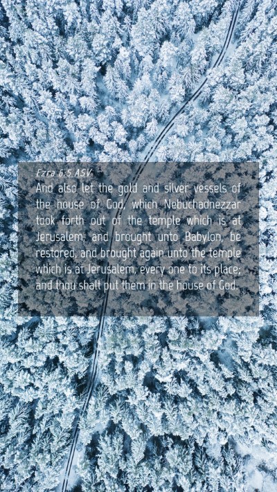 Picture 04 - Ezra 6:5 ASV Mobile Phone Wallpaper - And also let the gold and silver vessels of the - Mobile Bible Verse Wallpaper