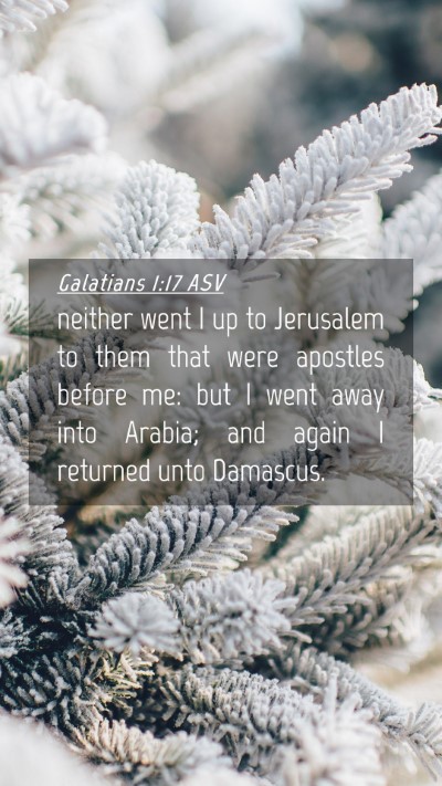 Picture 04 - Galatians 1:17 ASV Mobile Phone Wallpaper - neither went I up to Jerusalem to them that were - Mobile Bible Verse Wallpaper