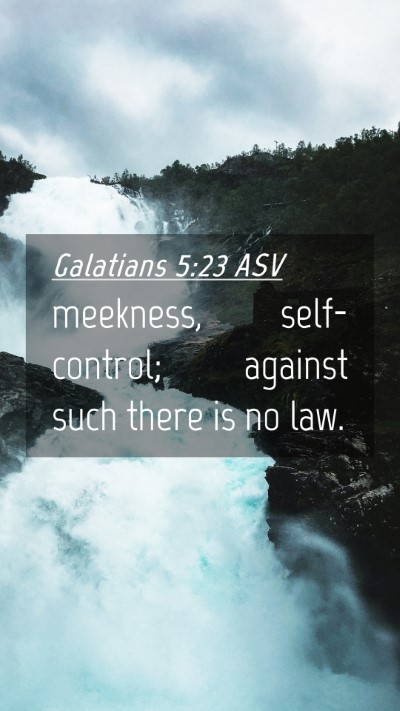 Picture 04 - Galatians 5:23 ASV Mobile Phone Wallpaper - meekness, self-control; against such there is no - Mobile Bible Verse Wallpaper