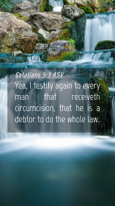 Picture 04 - Galatians 5:3 ASV Mobile Phone Wallpaper - Yea, I testify again to every man that receiveth - Mobile Bible Verse Wallpaper