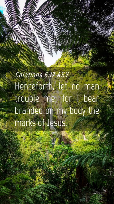 Picture 04 - Galatians 6:17 ASV Mobile Phone Wallpaper - Henceforth, let no man trouble me; for I bear - Mobile Bible Verse Wallpaper