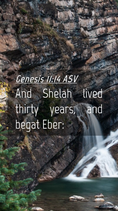Picture 04 - Genesis 11:14 ASV Mobile Phone Wallpaper - And Shelah lived thirty years, and begat - Mobile Bible Verse Wallpaper