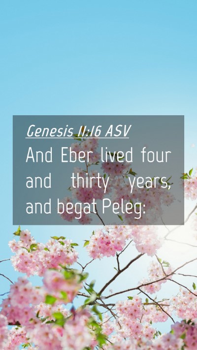 Picture 04 - Genesis 11:16 ASV Mobile Phone Wallpaper - And Eber lived four and thirty years, and begat - Mobile Bible Verse Wallpaper