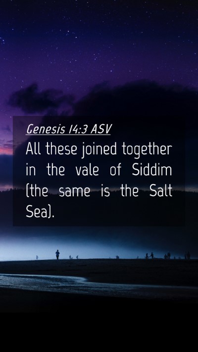 Picture 04 - Genesis 14:3 ASV Mobile Phone Wallpaper - All these joined together in the vale of Siddim - Mobile Bible Verse Wallpaper