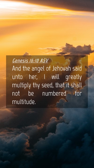 Picture 04 - Genesis 16:10 ASV Mobile Phone Wallpaper - And the angel of Jehovah said unto her, I will - Mobile Bible Verse Wallpaper