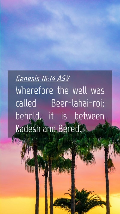 Picture 04 - Genesis 16:14 ASV Mobile Phone Wallpaper - Wherefore the well was called Beer-lahai-roi; - Mobile Bible Verse Wallpaper