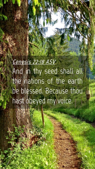 Picture 04 - Genesis 22:18 ASV Mobile Phone Wallpaper - And in thy seed shall all the nations of the - Mobile Bible Verse Wallpaper