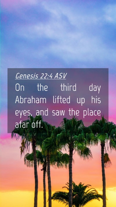 Picture 04 - Genesis 22:4 ASV Mobile Phone Wallpaper - On the third day Abraham lifted up his eyes, and - Mobile Bible Verse Wallpaper