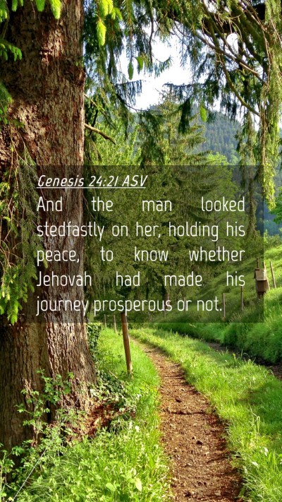 Picture 04 - Genesis 24:21 ASV Mobile Phone Wallpaper - And the man looked stedfastly on her, holding his - Mobile Bible Verse Wallpaper