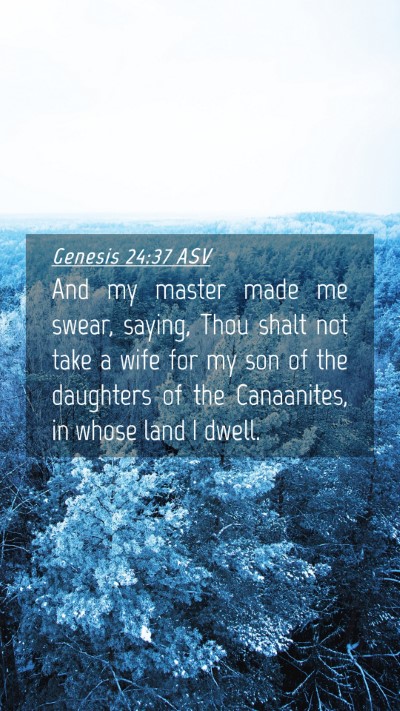 Picture 04 - Genesis 24:37 ASV Mobile Phone Wallpaper - And my master made me swear, saying, Thou shalt - Mobile Bible Verse Wallpaper