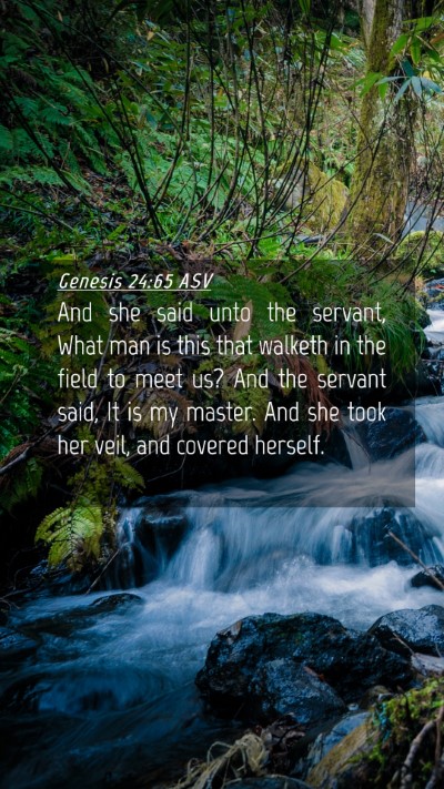 Picture 04 - Genesis 24:65 ASV Mobile Phone Wallpaper - And she said unto the servant, What man is this - Mobile Bible Verse Wallpaper