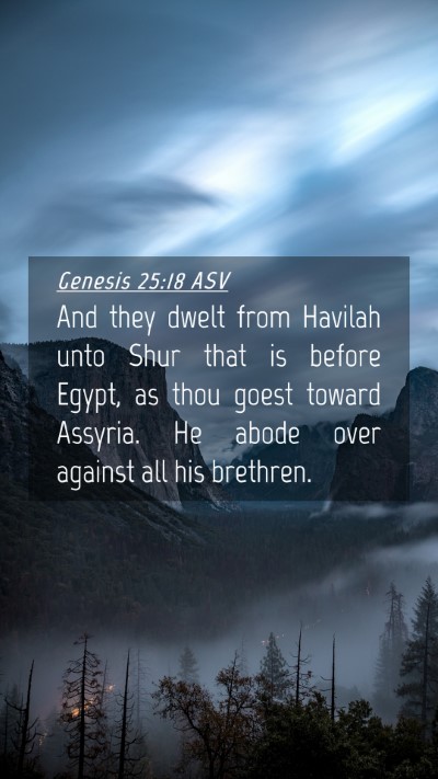 Picture 04 - Genesis 25:18 ASV Mobile Phone Wallpaper - And they dwelt from Havilah unto Shur that is - Mobile Bible Verse Wallpaper