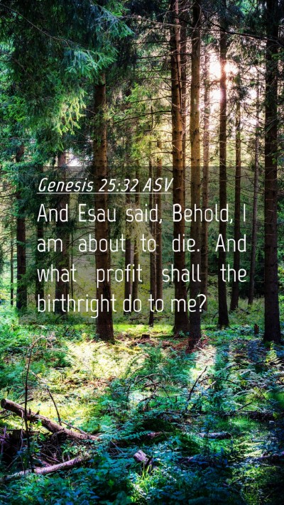 Picture 04 - Genesis 25:32 ASV Mobile Phone Wallpaper - And Esau said, Behold, I am about to die. And - Mobile Bible Verse Wallpaper