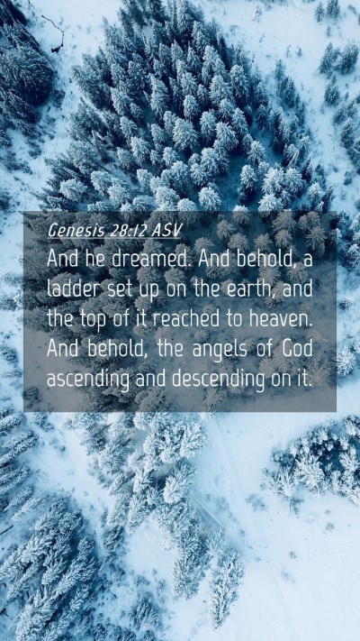 Picture 04 - Genesis 28:12 ASV Mobile Phone Wallpaper - And he dreamed. And behold, a ladder set up on - Mobile Bible Verse Wallpaper