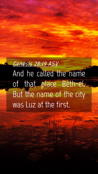 Picture 04 - Genesis 28:19 ASV Mobile Phone Wallpaper - And he called the name of that place Beth-el. But - Mobile Bible Verse Wallpaper