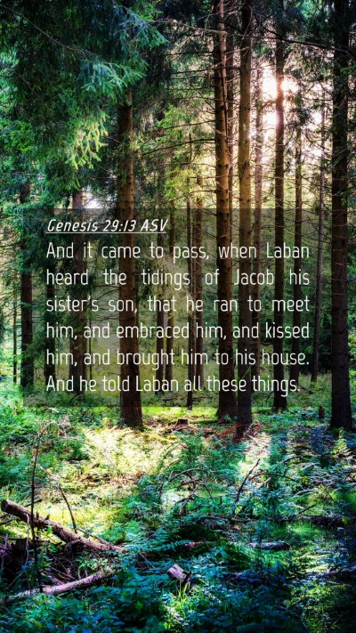 Picture 04 - Genesis 29:13 ASV Mobile Phone Wallpaper - And it came to pass, when Laban heard the tidings - Mobile Bible Verse Wallpaper