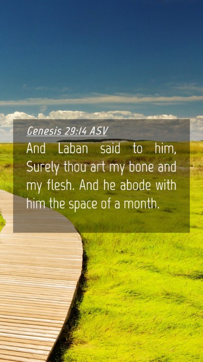 Picture 04 - Genesis 29:14 ASV Mobile Phone Wallpaper - And Laban said to him, Surely thou art my bone - Mobile Bible Verse Wallpaper