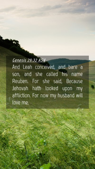 Picture 04 - Genesis 29:32 ASV Mobile Phone Wallpaper - And Leah conceived, and bare a son, and she - Mobile Bible Verse Wallpaper