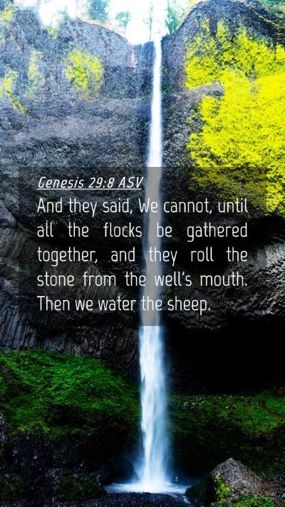 Picture 04 - Genesis 29:8 ASV Mobile Phone Wallpaper - And they said, We cannot, until all the flocks be - Mobile Bible Verse Wallpaper