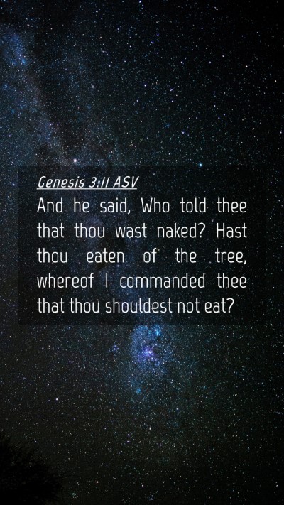 Picture 04 - Genesis 3:11 ASV Mobile Phone Wallpaper - And he said, Who told thee that thou wast naked? - Mobile Bible Verse Wallpaper