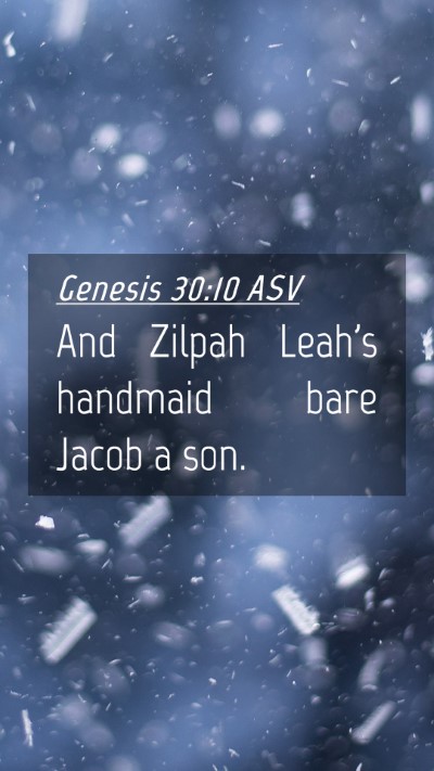 Picture 04 - Genesis 30:10 ASV Mobile Phone Wallpaper - And Zilpah Leah's handmaid bare Jacob a - Mobile Bible Verse Wallpaper