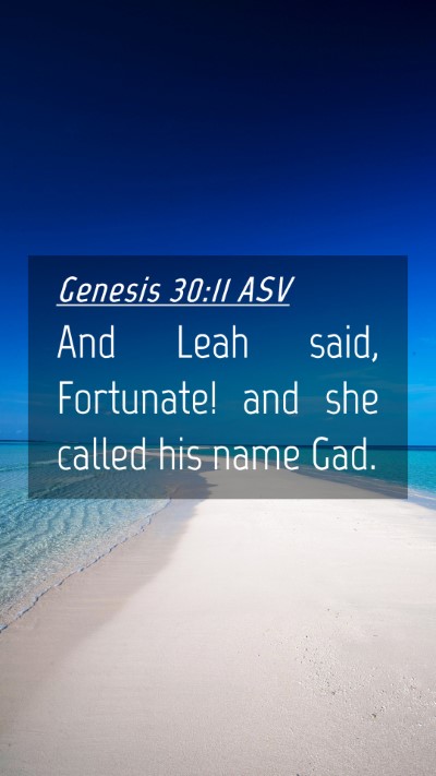 Picture 04 - Genesis 30:11 ASV Mobile Phone Wallpaper - And Leah said, Fortunate! and she called his name - Mobile Bible Verse Wallpaper