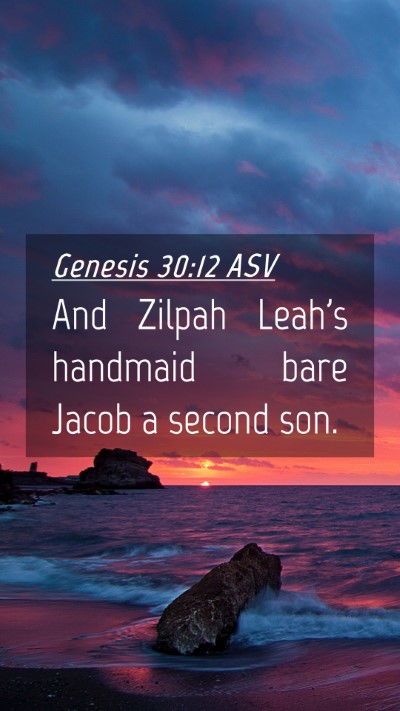 Picture 04 - Genesis 30:12 ASV Mobile Phone Wallpaper - And Zilpah Leah's handmaid bare Jacob a second - Mobile Bible Verse Wallpaper