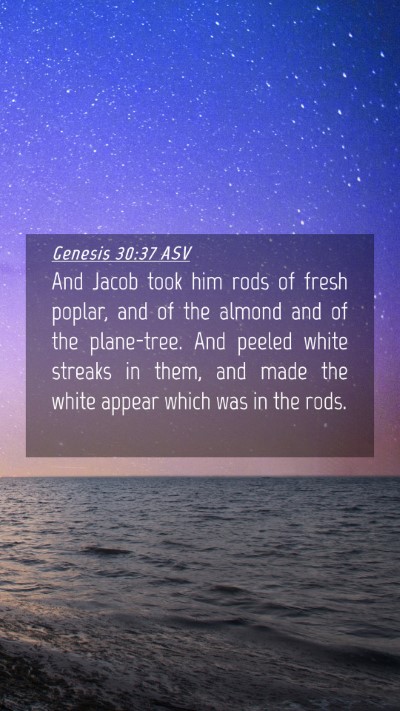 Picture 04 - Genesis 30:37 ASV Mobile Phone Wallpaper - And Jacob took him rods of fresh poplar, and of - Mobile Bible Verse Wallpaper
