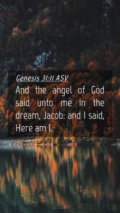 Picture 04 - Genesis 31:11 ASV Mobile Phone Wallpaper - And the angel of God said unto me in the dream, - Mobile Bible Verse Wallpaper