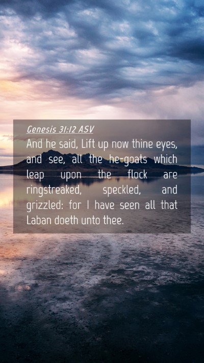 Picture 04 - Genesis 31:12 ASV Mobile Phone Wallpaper - And he said, Lift up now thine eyes, and see, all - Mobile Bible Verse Wallpaper