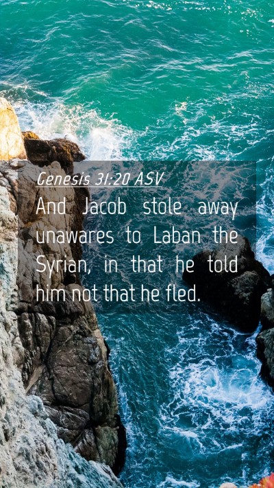 Picture 04 - Genesis 31:20 ASV Mobile Phone Wallpaper - And Jacob stole away unawares to Laban the - Mobile Bible Verse Wallpaper
